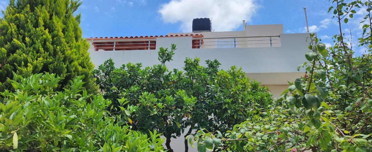 Villa Elli แอร์ซอนิสซอส ภายนอก รูปภาพ